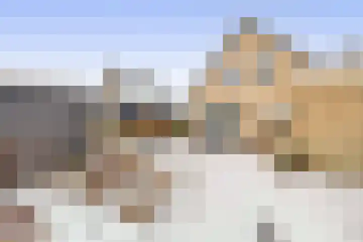 Dennenlaan 44 Havelte thumbnail 37