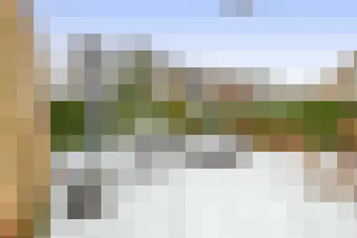 Dennenlaan 44 Havelte thumbnail 40