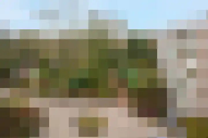 Dennenlaan 511 Ede thumbnail 18