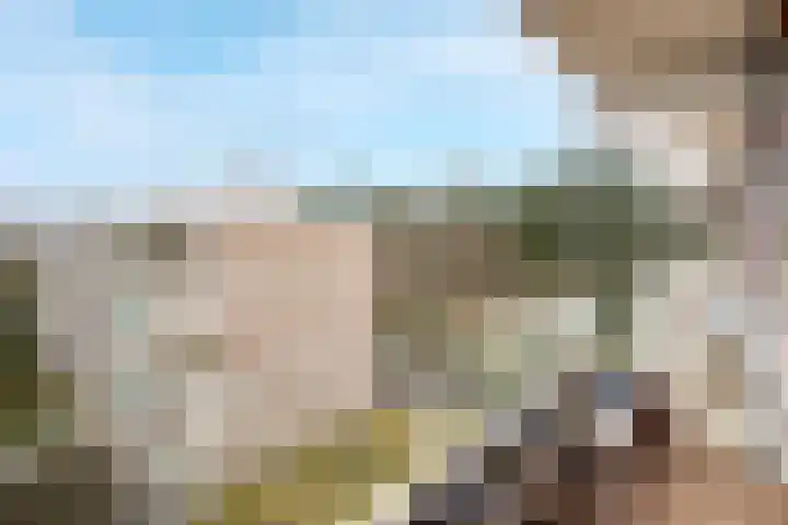 Dennenlaan 511 Ede thumbnail 19