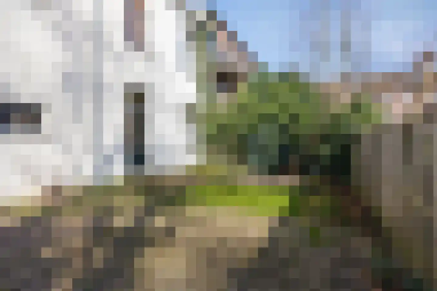 Dennenlaan 9 in Havelte