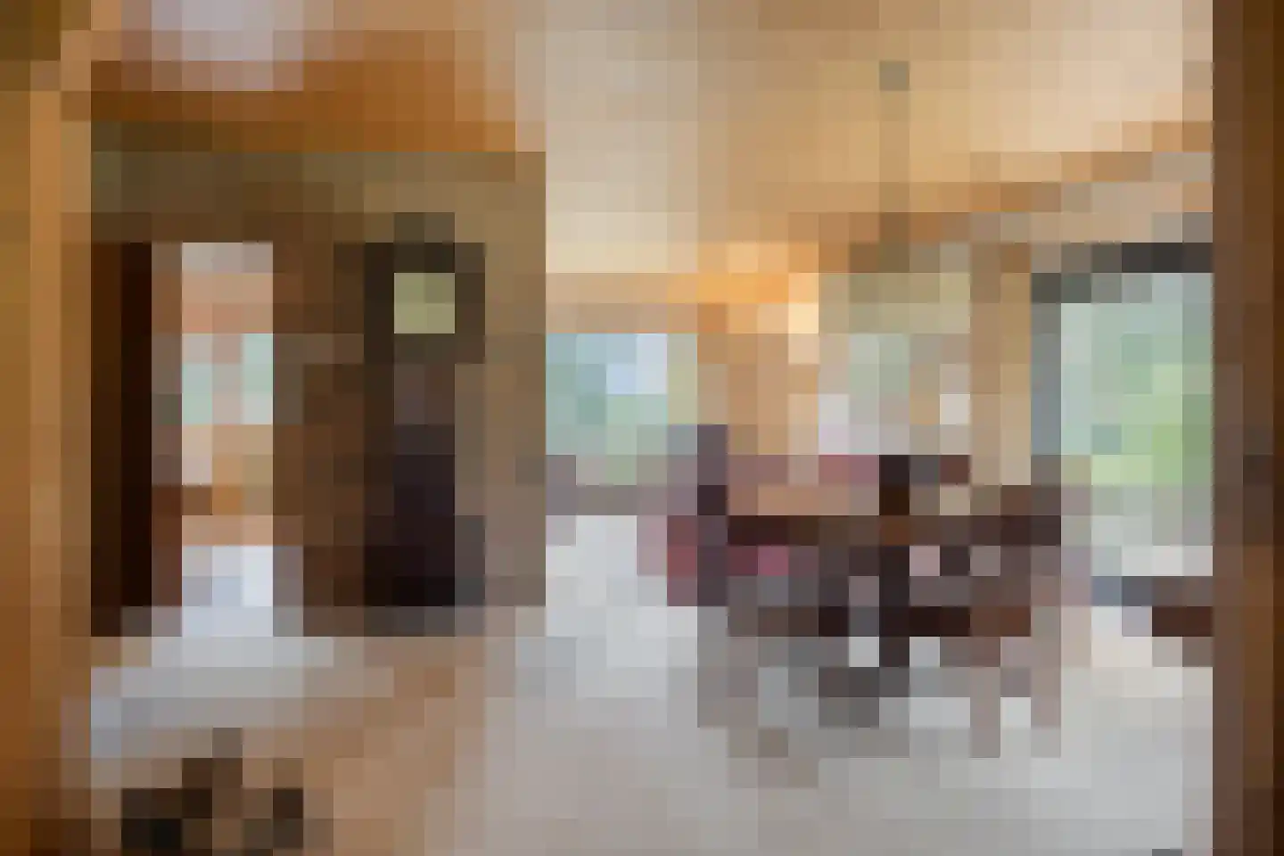 Dennenlaan 9 Epe thumbnail 14
