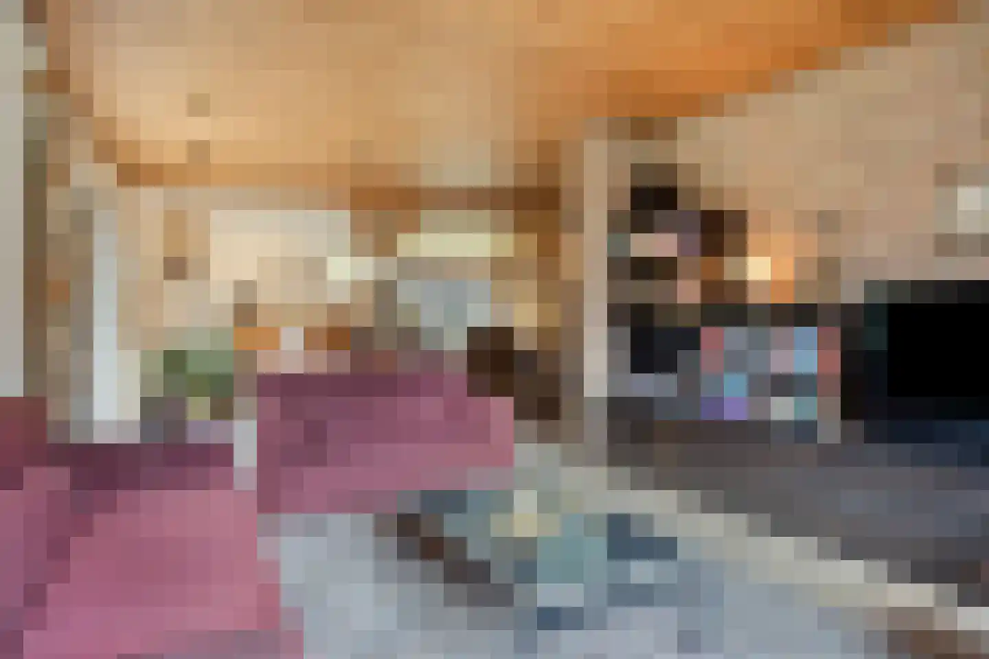 Dennenlaan 9 Epe thumbnail 16