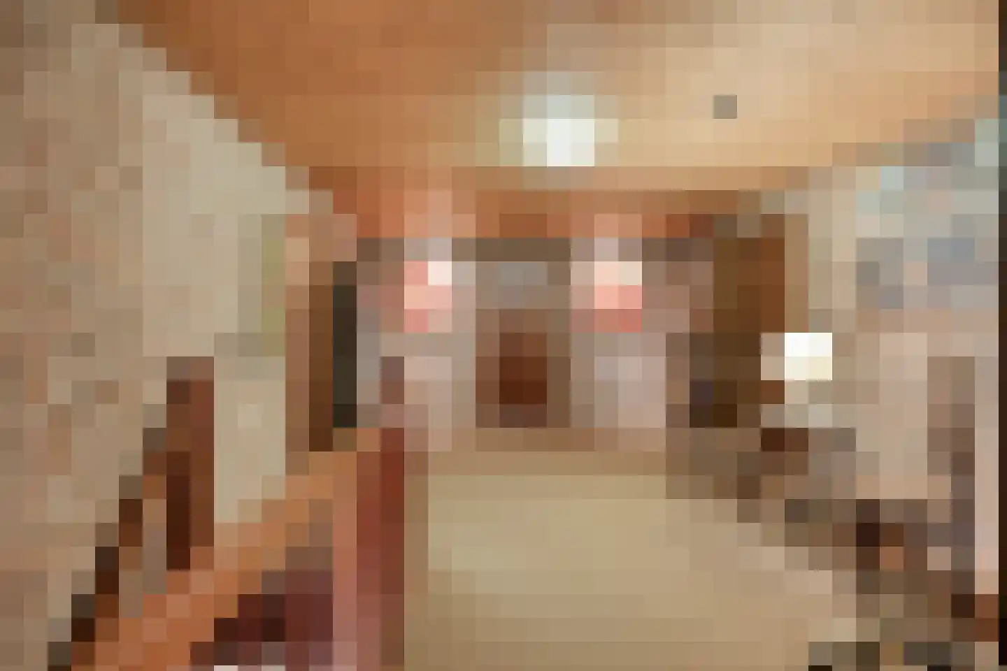Dennenlaan 9 Epe thumbnail 25