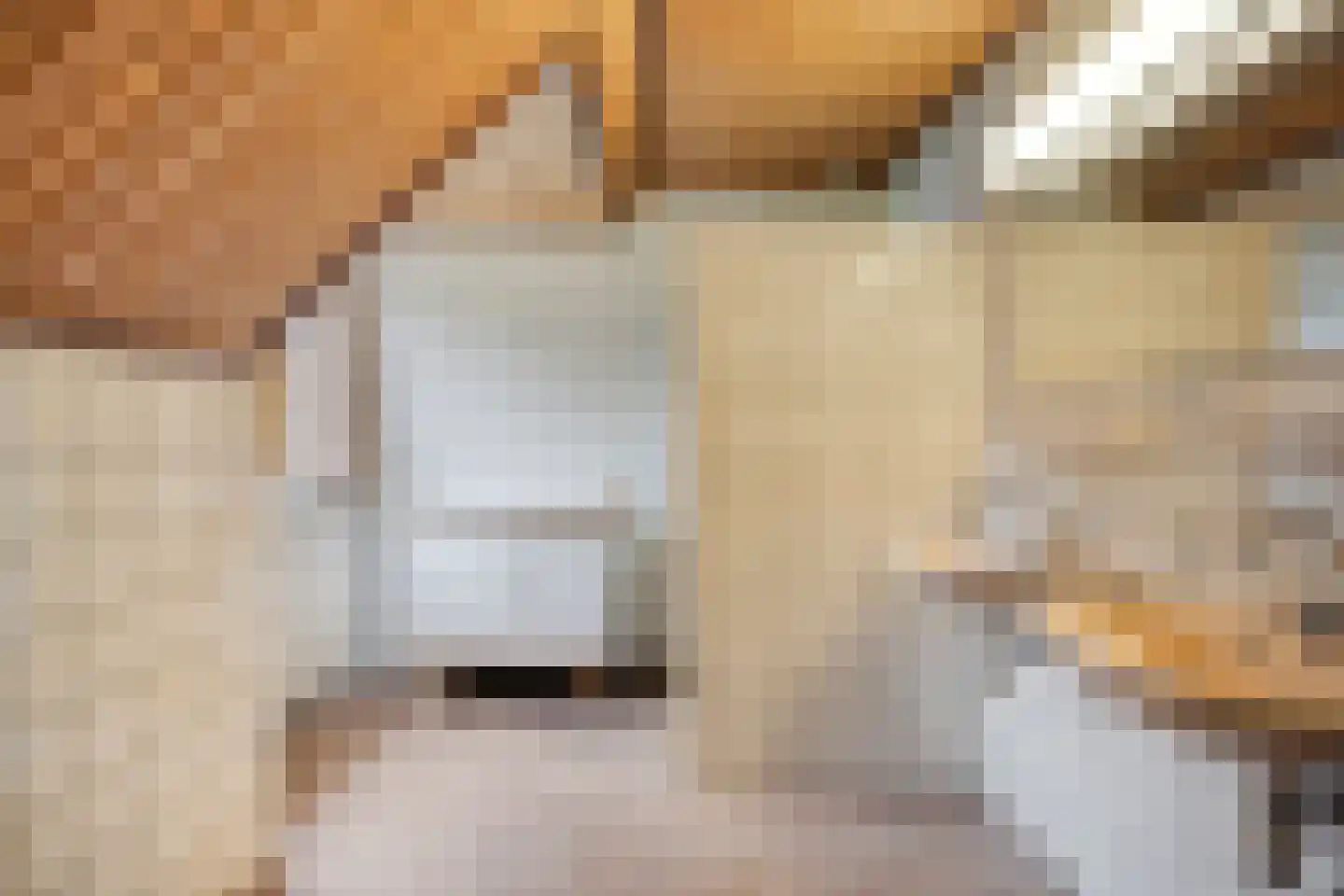 Dennenlaan 9 Epe thumbnail 36