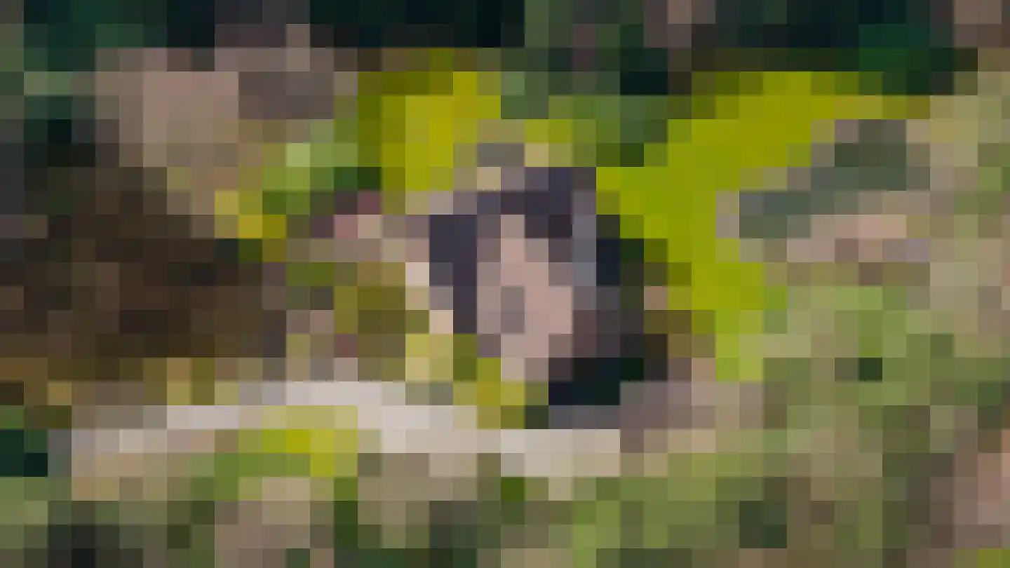 Dennenlaan 9 Epe thumbnail 39
