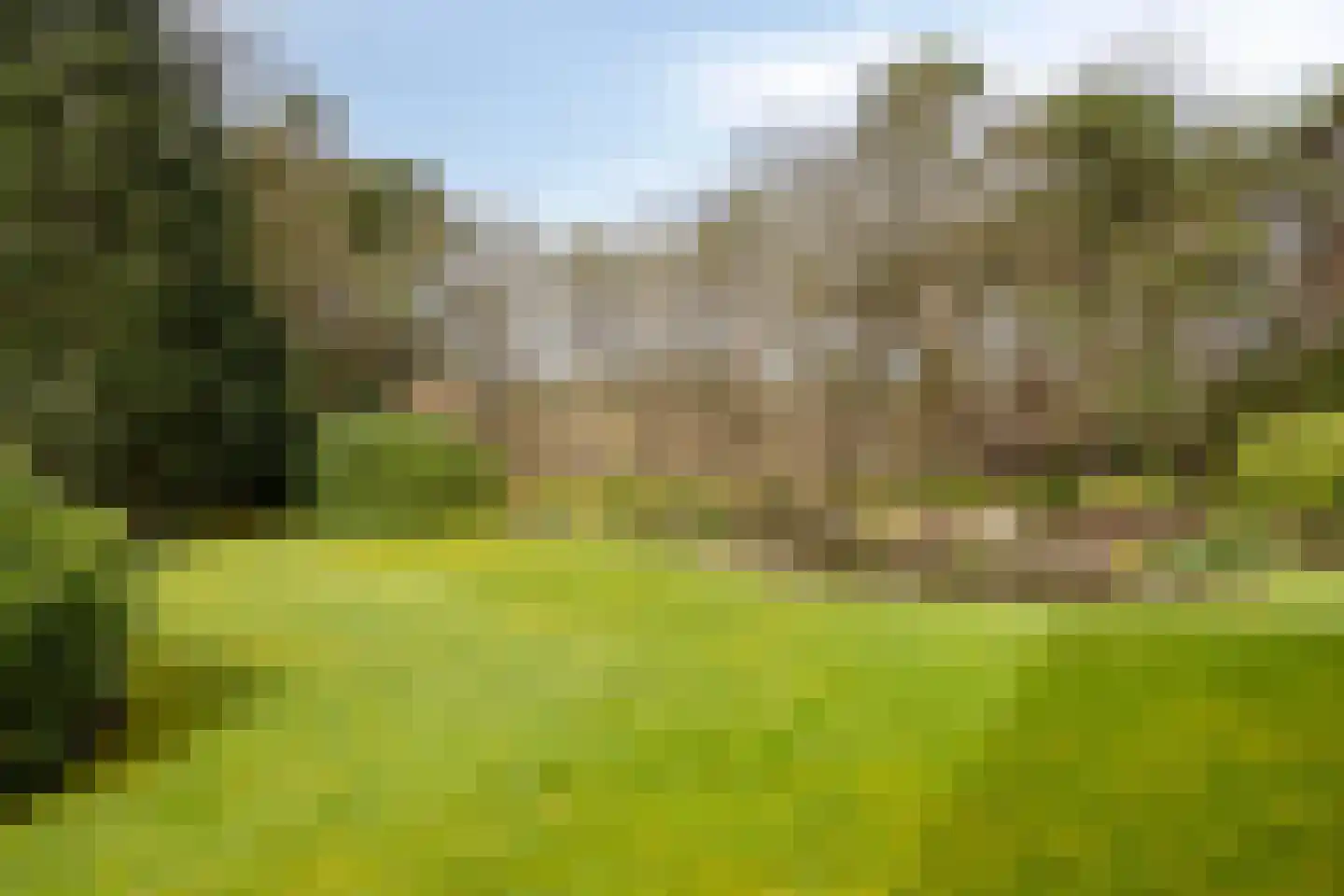 Dennenlaan 9 Epe thumbnail 44