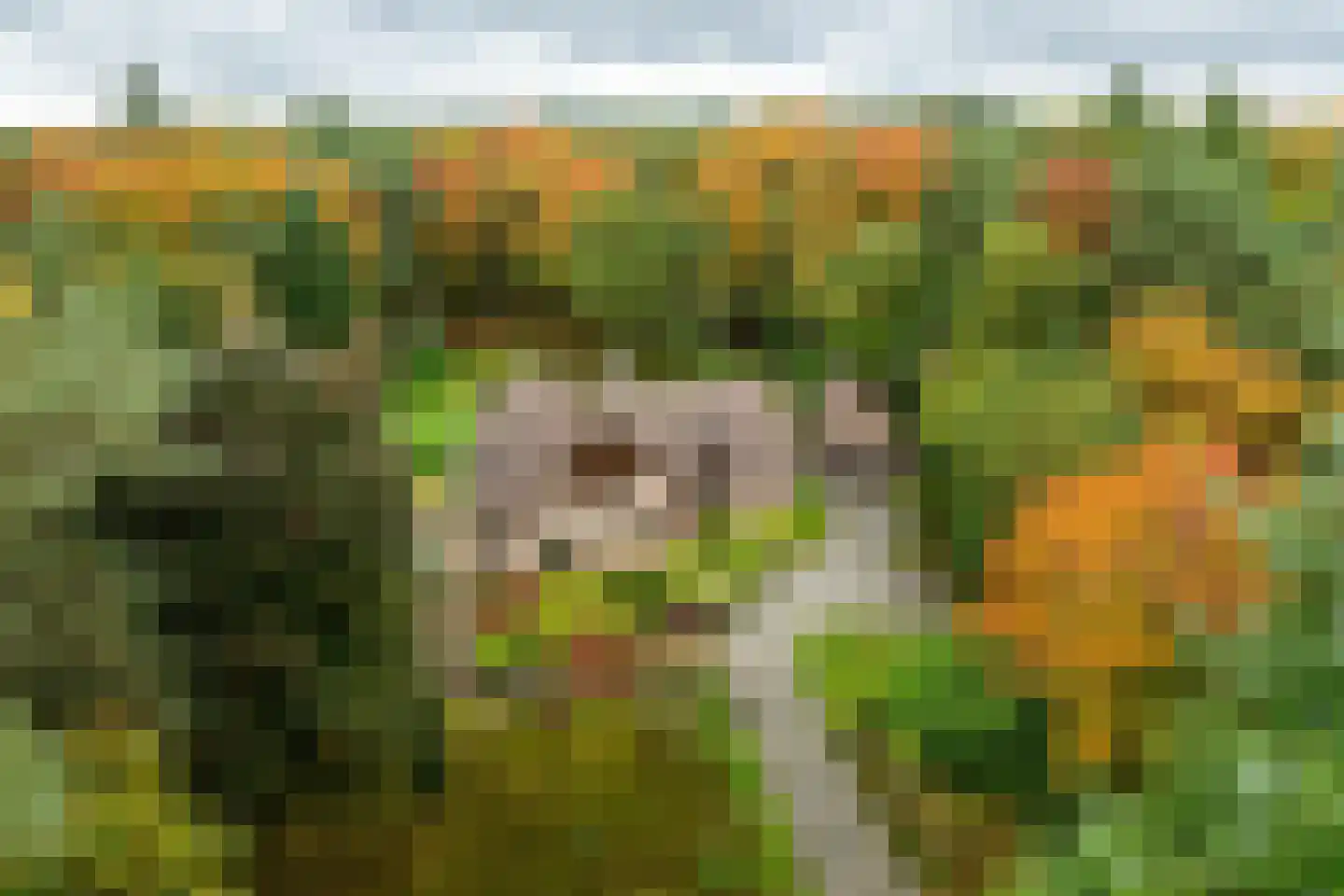 Dennenlaan 9 Epe thumbnail 49