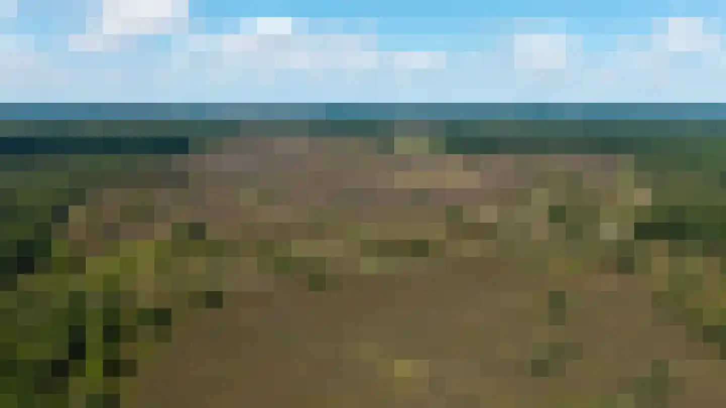 Dennenlaan 9 Epe thumbnail 50