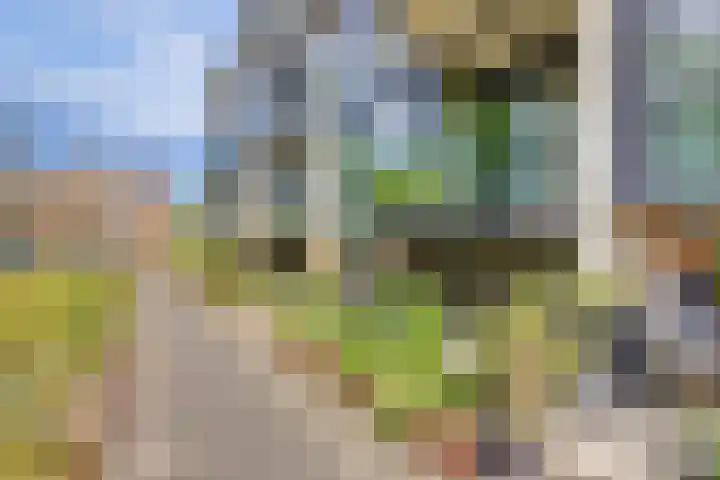 Dennenpad 8 's-Gravenzande thumbnail 16