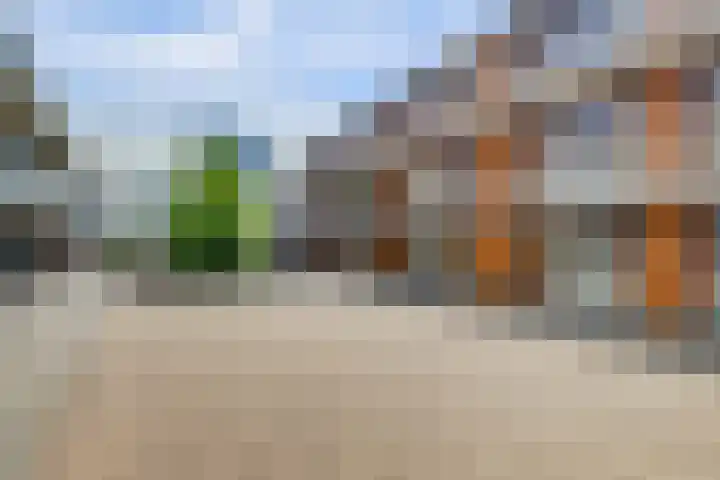 Dennenpad 8 's-Gravenzande thumbnail 18