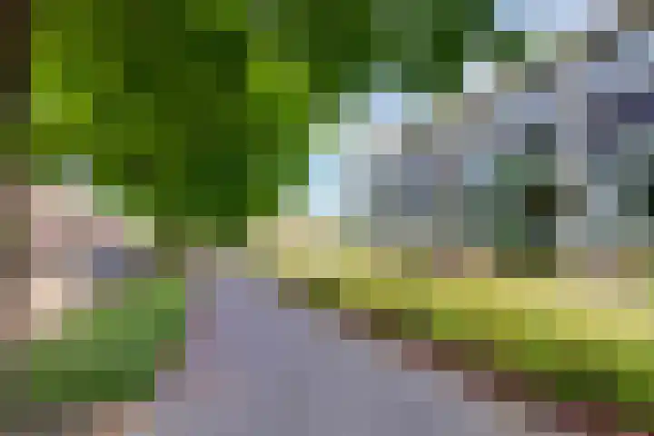 Dennenpad 8 's-Gravenzande thumbnail 22