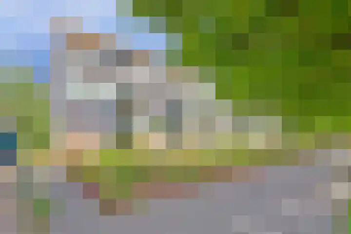 Dennenpad 8 's-Gravenzande thumbnail 24