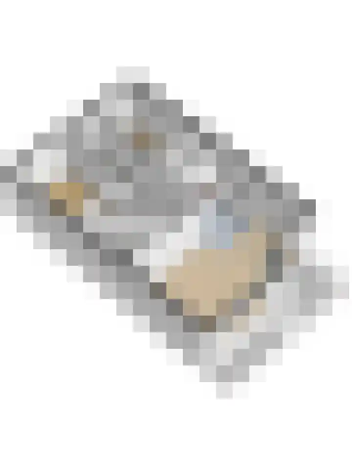 Dennenpad 8 's-Gravenzande thumbnail 28