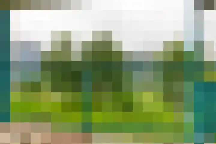 Dennenschans 27 Leiderdorp thumbnail 19