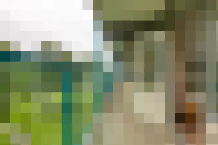 Dennenschans 27 Leiderdorp thumbnail 20