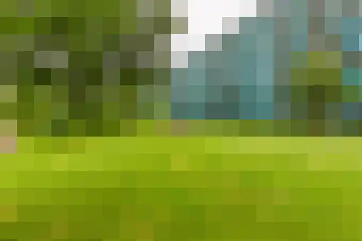 Dennenschans 27 Leiderdorp thumbnail 36