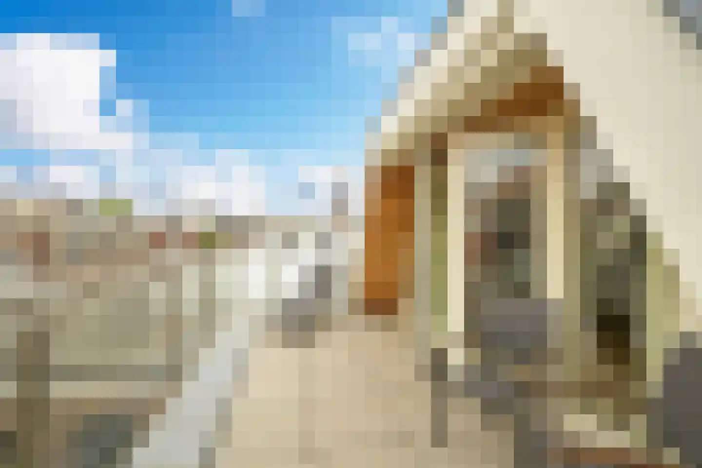 Denneweg 16 Den Haag thumbnail 5