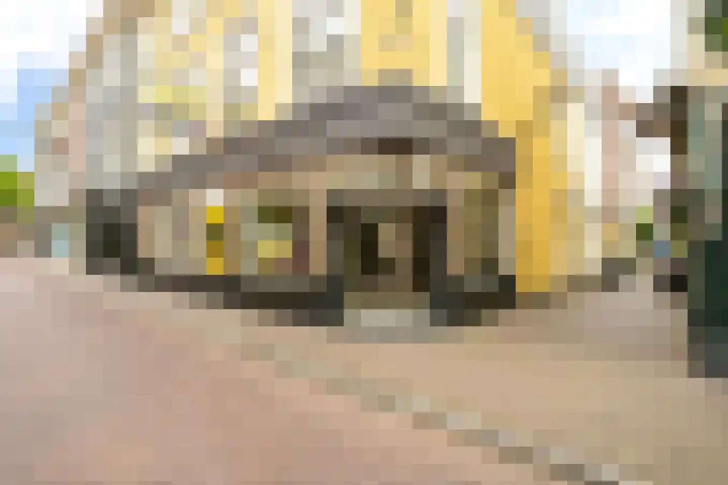 Denneweg 16 Den Haag thumbnail 6