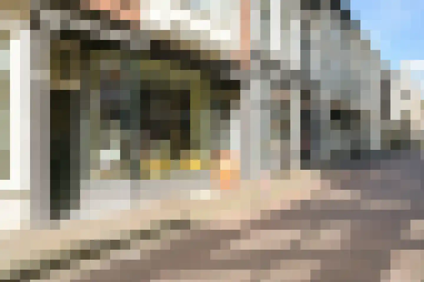 Denneweg 16 Den Haag thumbnail 64