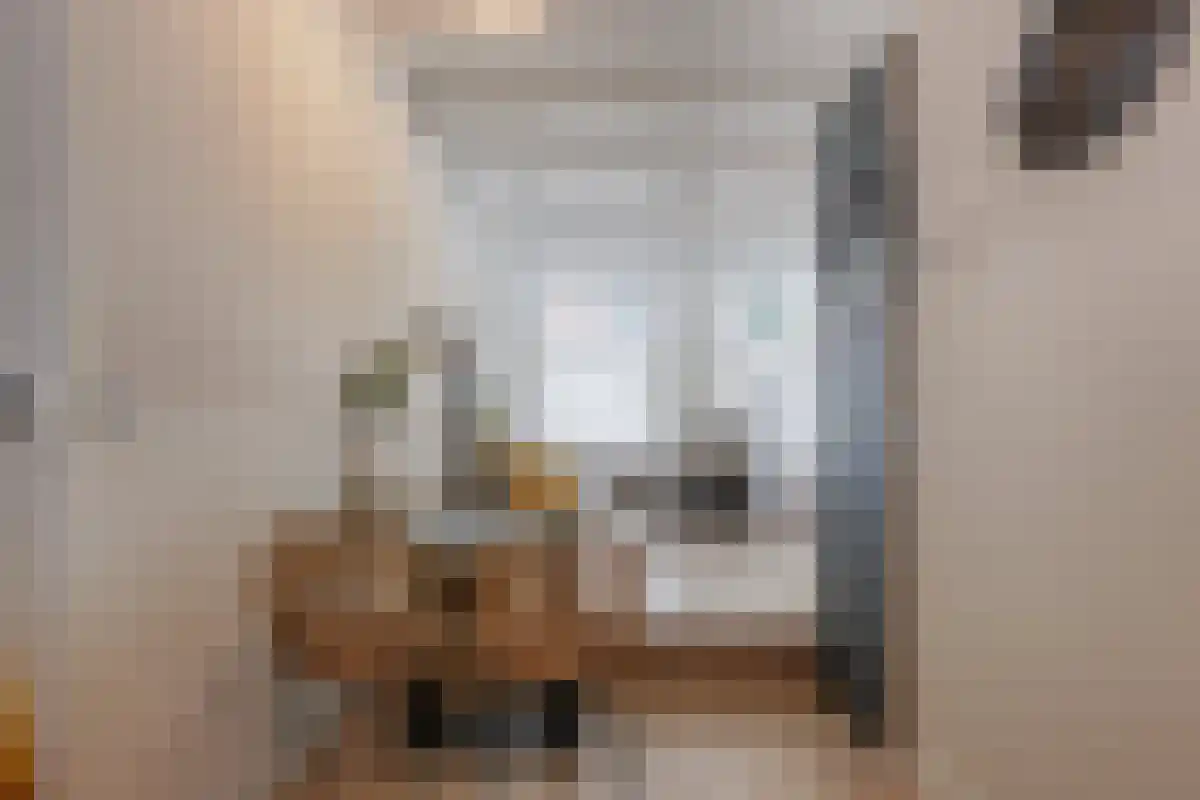 Denneweg 38 Den Haag foto 2