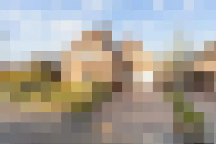 Derckinck 14 Den Ham
