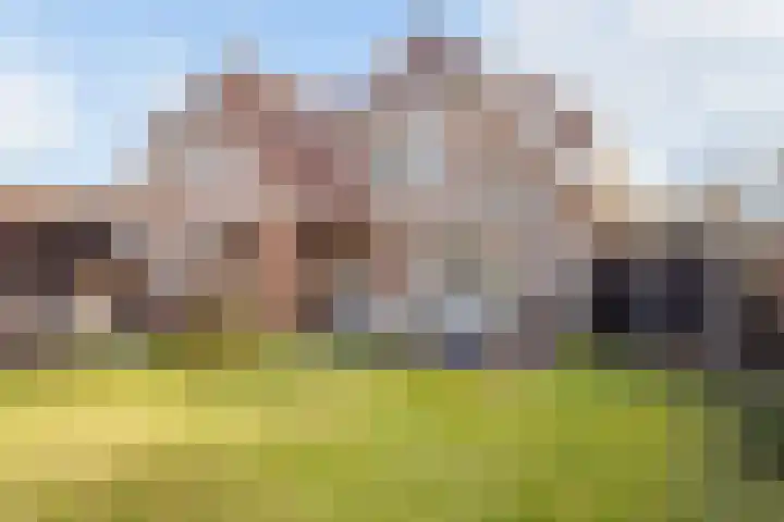 Derckinck 14 Den Ham thumbnail 16