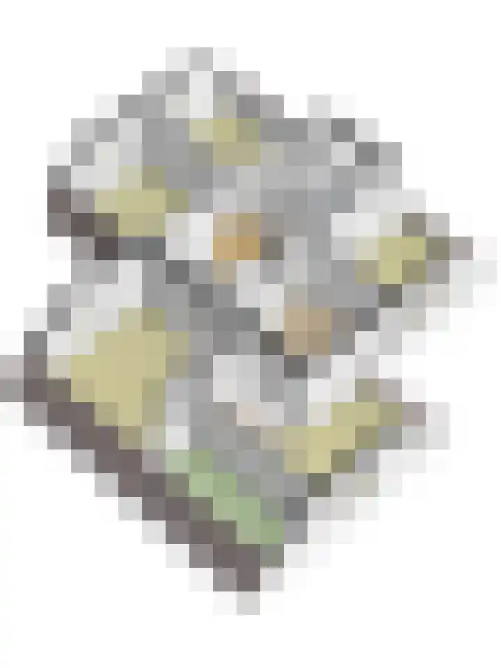 Derckinck 14 Den Ham thumbnail 21