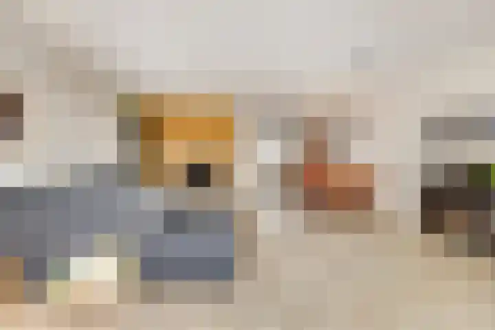 Derde Buitenpepers 2 's-Hertogenbosch thumbnail 16