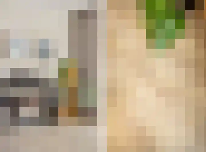 Derde Buitenpepers 2 's-Hertogenbosch thumbnail 18