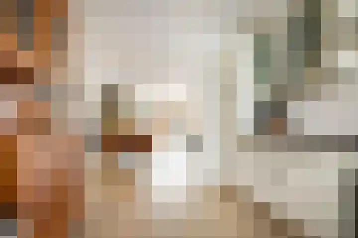 Derde Buitenpepers 2 's-Hertogenbosch thumbnail 22