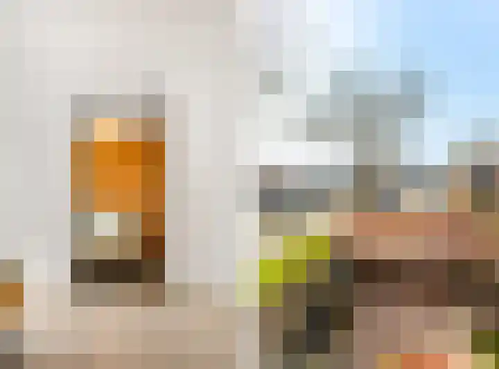 Derde Buitenpepers 2 's-Hertogenbosch thumbnail 28
