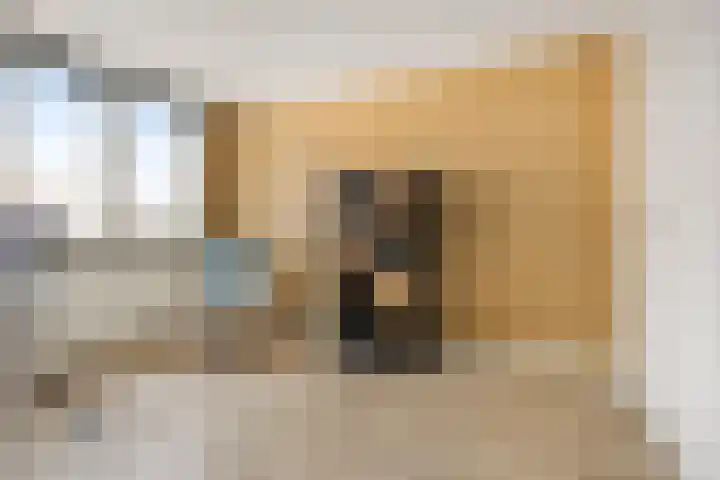 Derde Buitenpepers 2 's-Hertogenbosch thumbnail 32