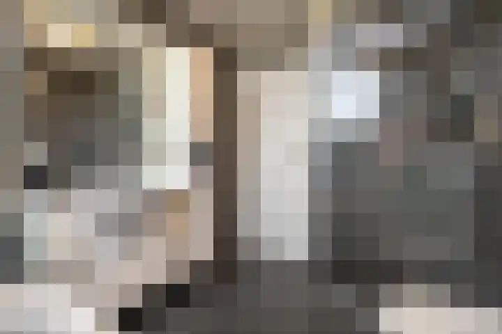 Derde Buitenpepers 2 's-Hertogenbosch thumbnail 34