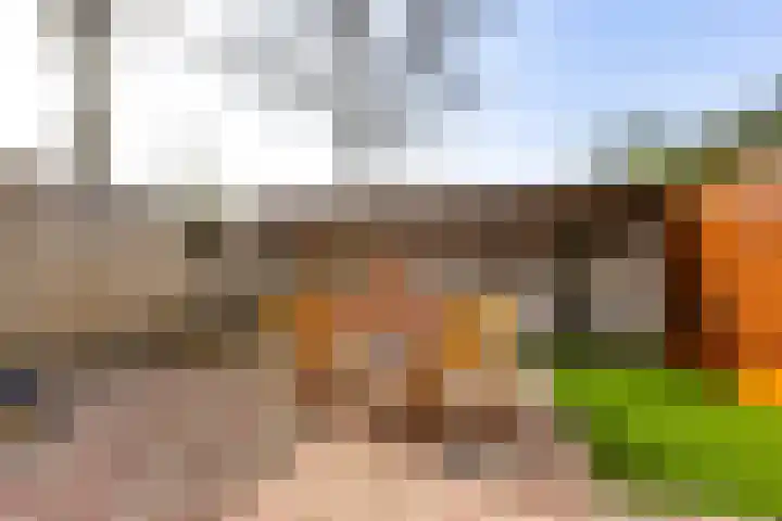 Derde Buitenpepers 2 's-Hertogenbosch thumbnail 37