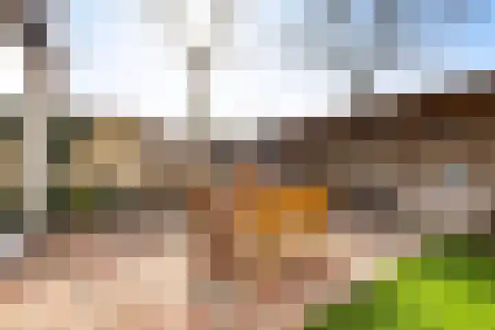 Derde Buitenpepers 2 's-Hertogenbosch thumbnail 38
