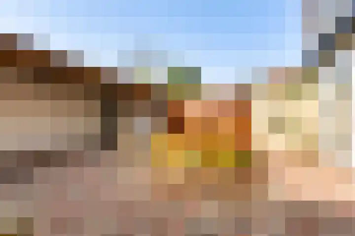 Derde Buitenpepers 2 's-Hertogenbosch thumbnail 39