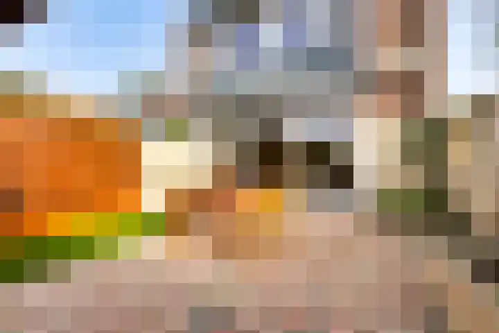 Derde Buitenpepers 2 's-Hertogenbosch thumbnail 40