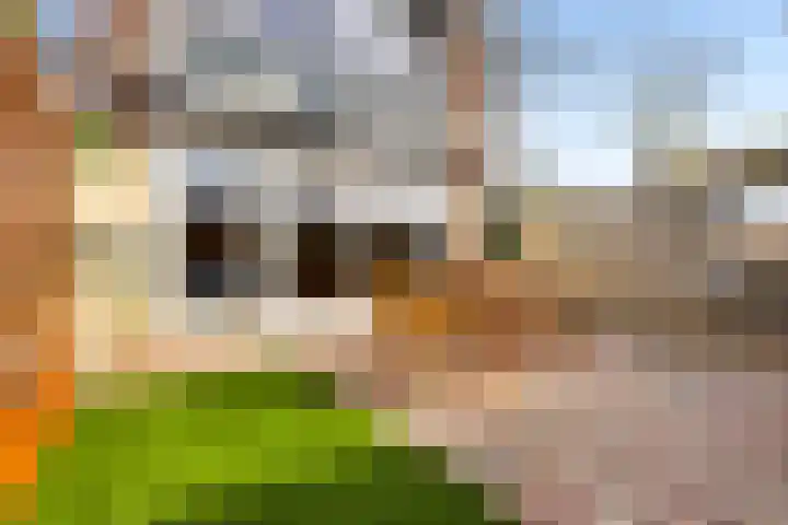 Derde Buitenpepers 2 's-Hertogenbosch thumbnail 41