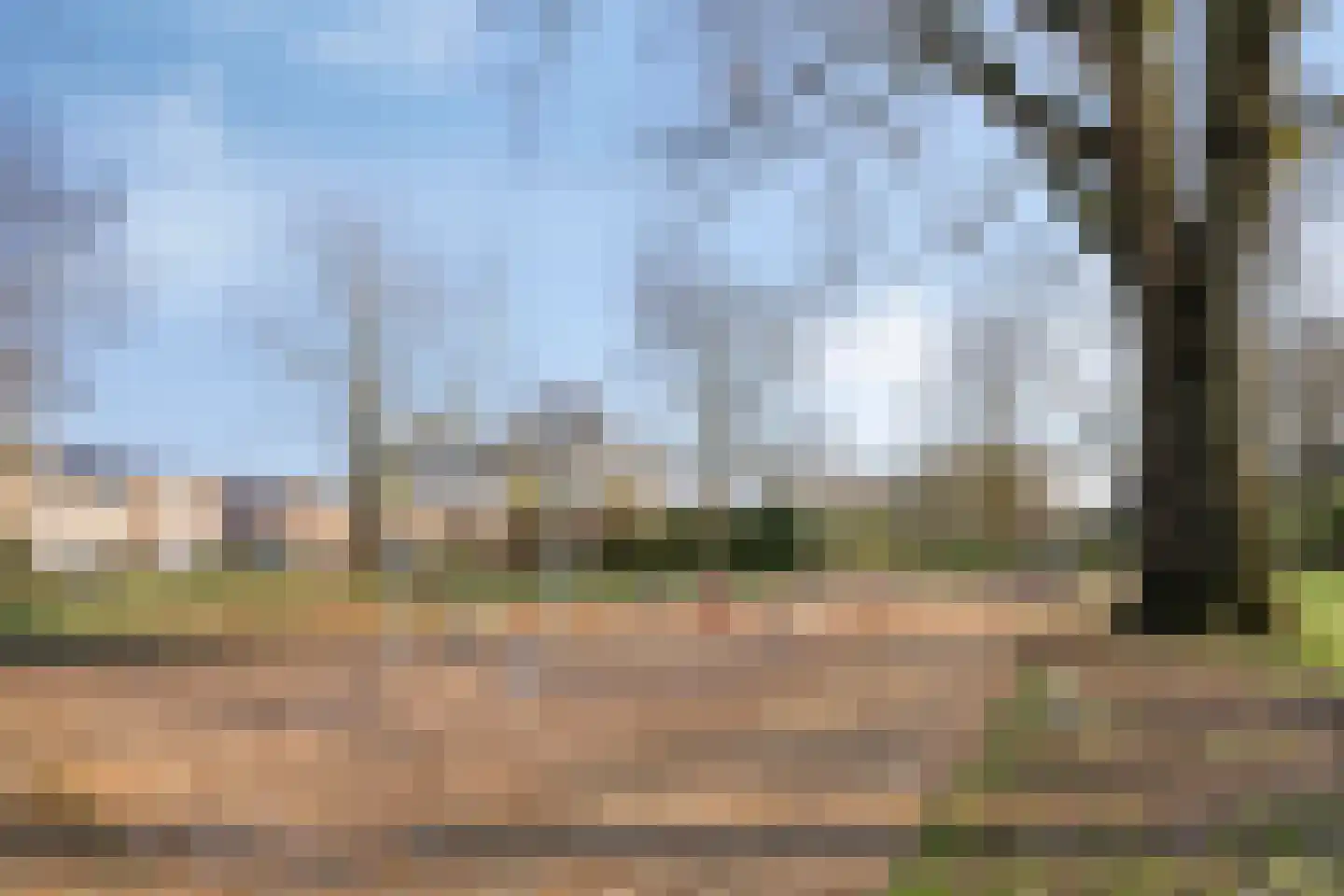 Derde Morgen 13 's-Hertogenbosch thumbnail 34