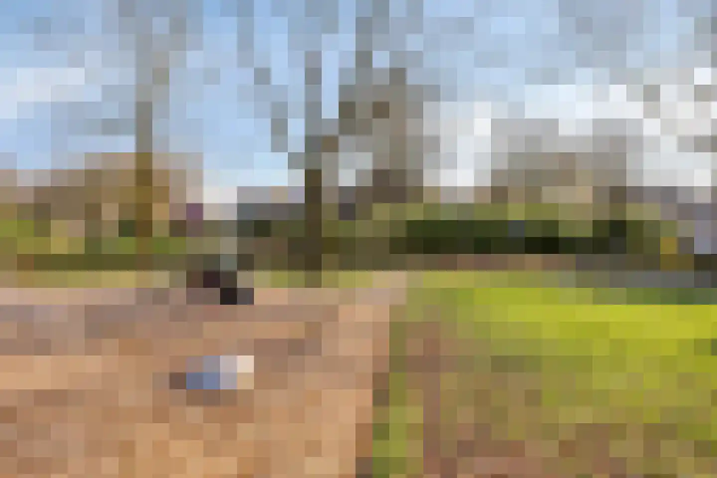 Derde Morgen 13 's-Hertogenbosch thumbnail 35