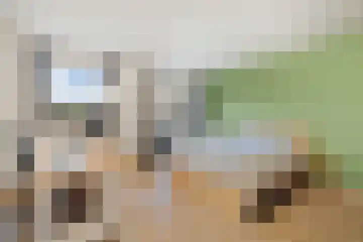 Derde Werelddreef 118 Delft thumbnail 21