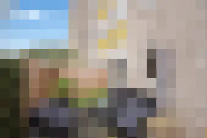 Derde Werelddreef 131 Delft thumbnail 18