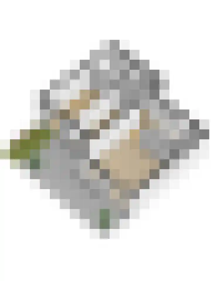 Derde Werelddreef 131 Delft thumbnail 27