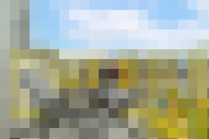 Derde Werelddreef 174 Delft thumbnail 4
