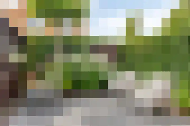 Desselstraat 16 Amsterdam thumbnail 36