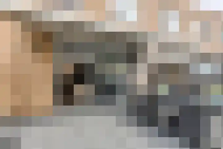 Desselstraat 16 Amsterdam thumbnail 39