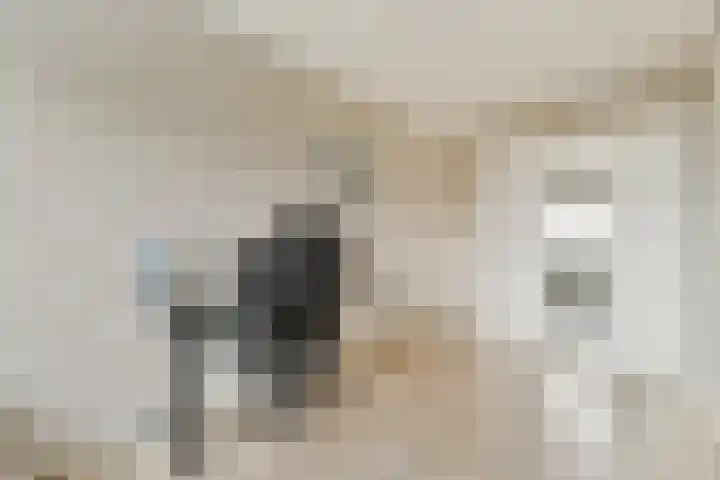 Desselstraat 4 Amsterdam thumbnail 17