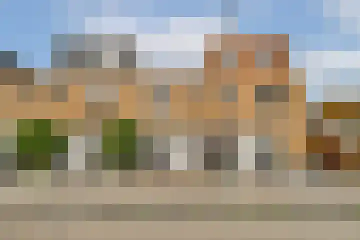 Desselstraat 4 Amsterdam thumbnail 23