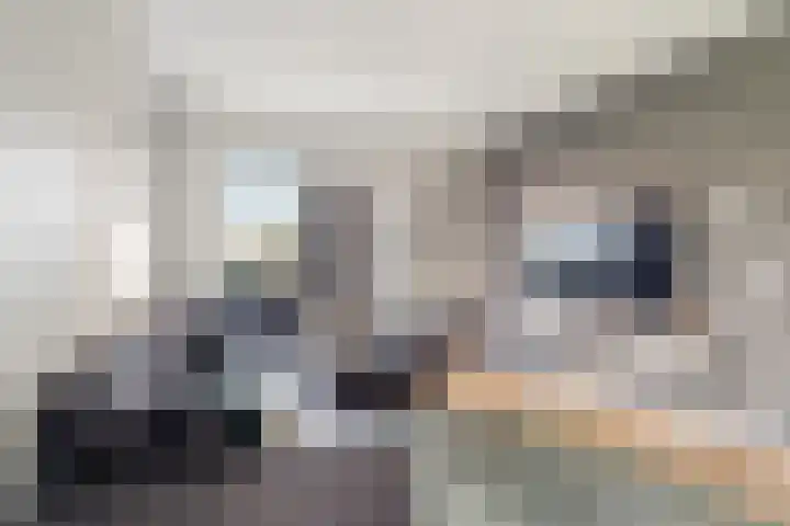 Dettifossstraat 234 Almere thumbnail 12